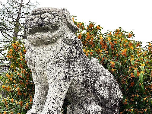 ギャラリー写真