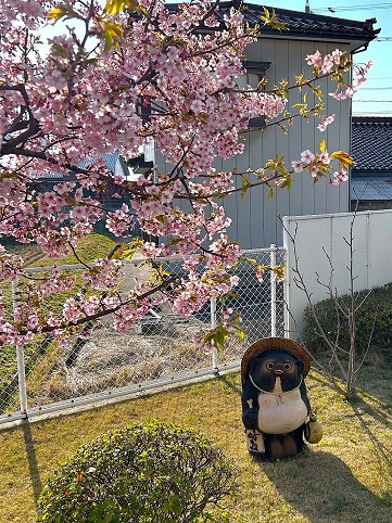 ギャラリー写真